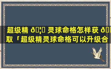 超级精 🦅 灵球命格怎样获 🐘 取「超级精灵球命格可以升级合成吗」